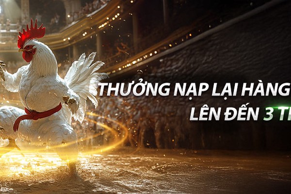 Hoàn trả hàng ngày không giới hạn tại e2bet
